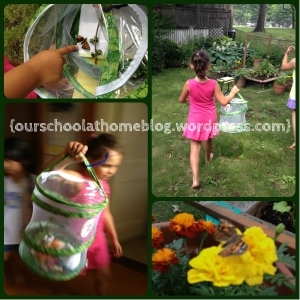 butterfly release celebration - ourschoolathomeblog-wordpress-com